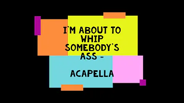 I'm About to Whip Somebody's Ass!  - Acapella (Dave B Remixes)