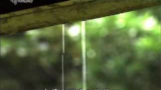 20100426-2《靜思晨語。慈濟宗門》應根對機　隱實施權