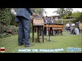 Colección de Galy Galiano: Amor de Primavera / Pequeño Motel / La Cita - Marimba Valle de Guatemala