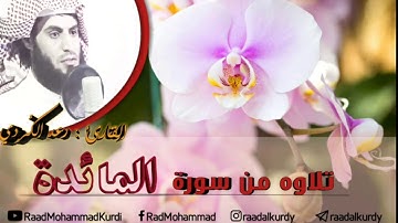 رعد محمد ,, تـلاوة من سورة المائـدة "(لئن بسطت إلي يدك لتقتلني ما أنا بباسط يدي إليك لأقتلك..