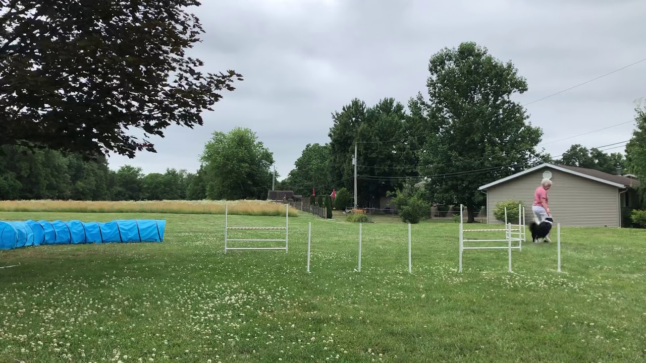 Molly’s Garden League Week 11 YouTube