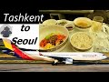 Asiana Airlines Business Class | Tashkent to Seoul TRIP REPORT