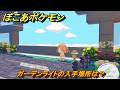 ぽこあポケモン ガーデンライトの入手場所は？ ＃1127 【ぽこポケ