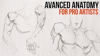 Stan Prokopenko: Advanced Anatomy for Pros (LIVESTREAM)