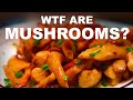 What exactly are mushrooms? What are they made of? They're not vegetables?