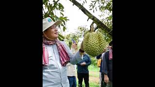 នេះជាអ្វីដែលកសិករត្រូវដឹង!!  #កម្ពុជាមាតុភូមិខ្ញុំ #agriculture #farmer #cambodia #សេដ្ឋកិច្ចកម្ពុជា