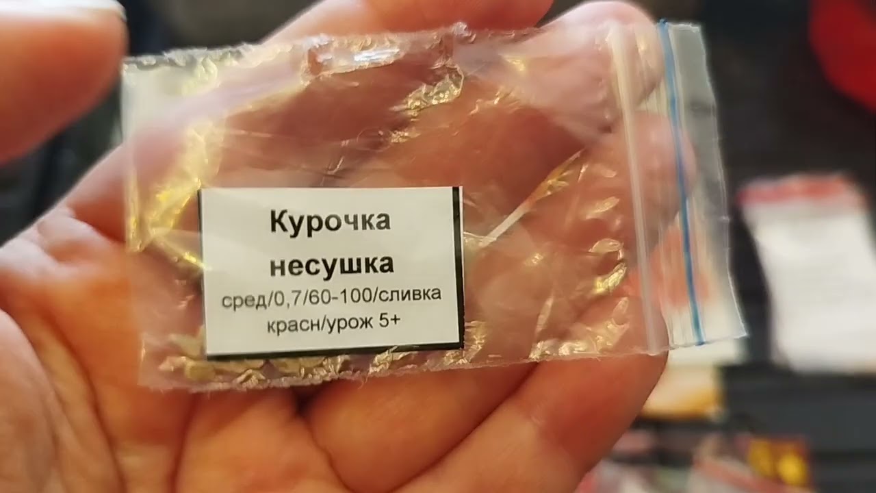 Обзор томатов и (гномов) 🍅для открытого грунта. 