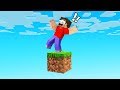 How NOT To Play HARDCORE SKYBLOCK! (Minecraft)