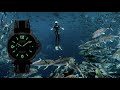 PANERAI - ЧАСЫ ДЛЯ ДАЙВИНГА / РЕКОРД ПОГРУЖЕНИЯ НА 126 МЕТРОВ ГИЙОМА НЕРИ