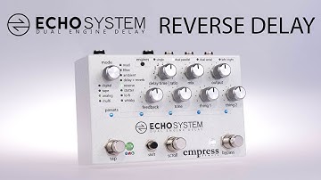 Echosystem - Reverse Mode