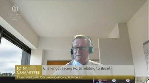 Eoin McGettigan of Cork port, Oireachtas Transport Committee