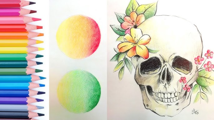 lapices de colores escolares vs profesionales ecolapices y polychromos  faber castell 