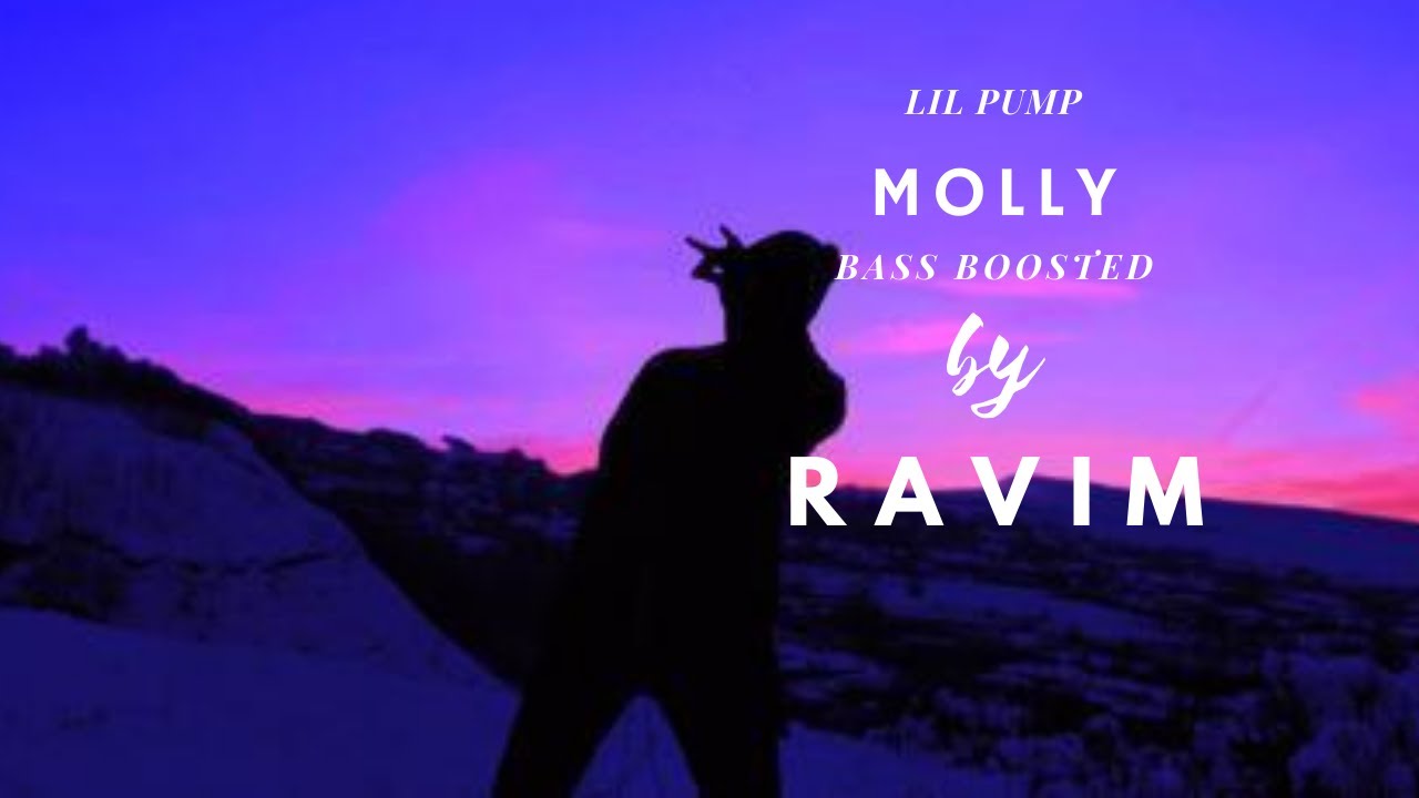 Lil Pump Molly (Bass Boosted) by R A V I