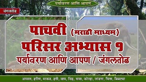 5th EVS 1 | Chapter#18 | Topic#02 | जंगलतोड | Marathi Medium