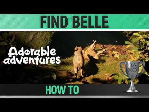 The Complete Guide To Belle 2525's Content