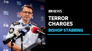 Teenager charged with terror act has case heard after Sydney bishop stabbing | ABC News