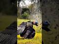 Успешная охота на индейку с чистым попаданием 🦃 #охота#индейка#headshot#viral#shorts#hunting#fyp
