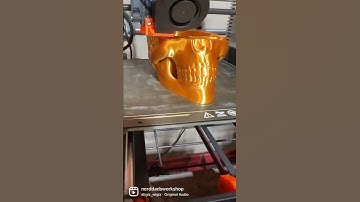 Deluxe Skull Planter By Hex3d