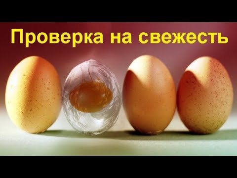 Как определить свежесть яиц?