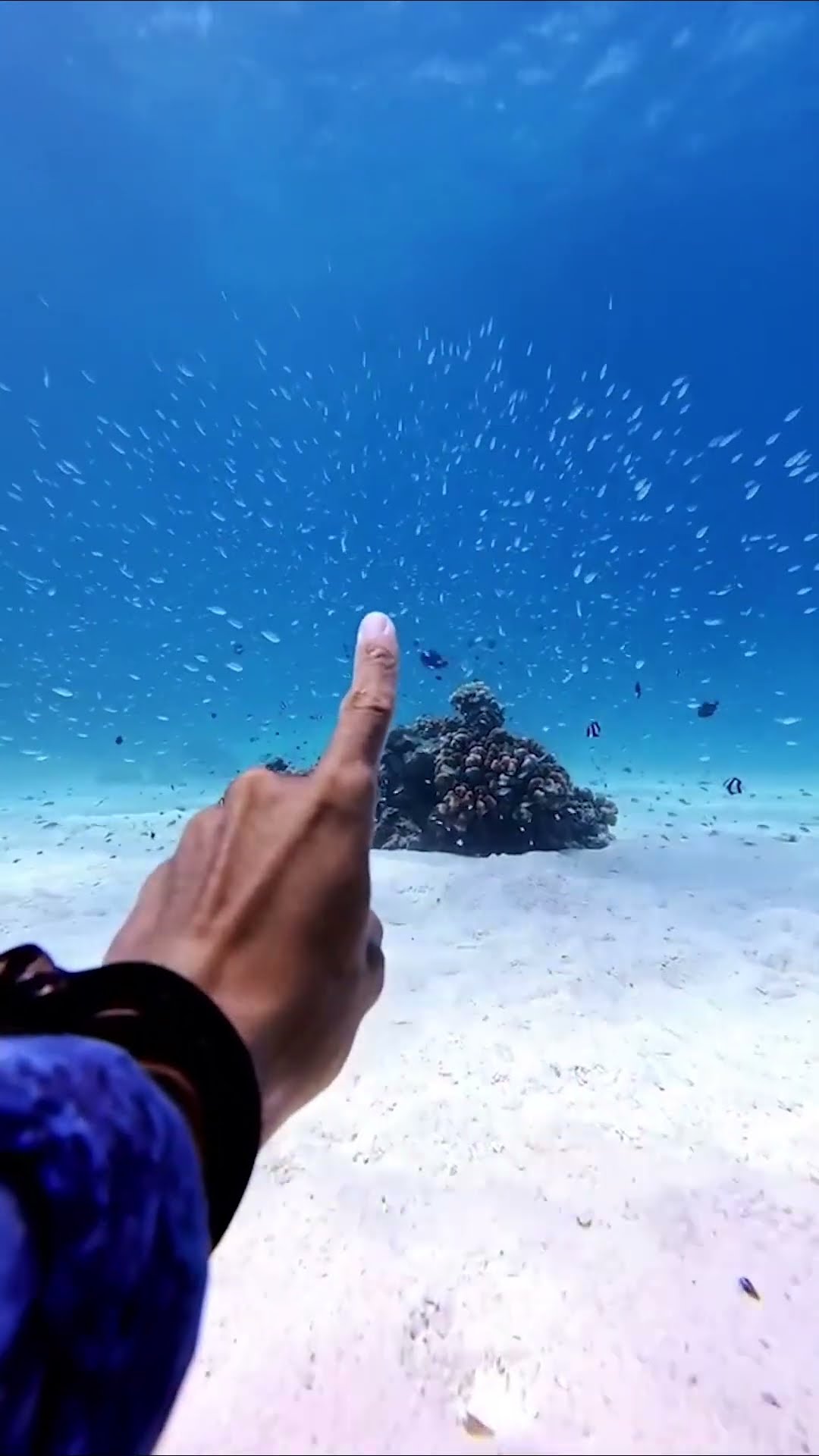 Underwater Superpower