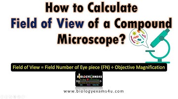 How to Calculate Field of View of a Compound Microscope?