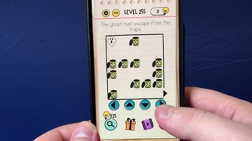 Brain Test The ghost must escape from the traps