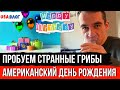 Пробуем странные грибы // Американский день рождения // Покупки в Walmart // Влог США