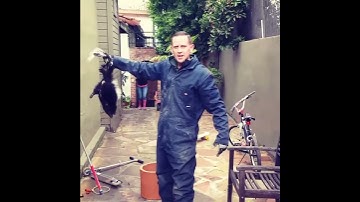 Jeremy Bailey owner of Animal Capture Wildlife Control grabs skunk with bare hands and gets sprayed!