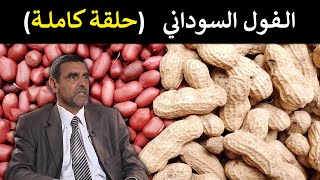 🔹 الفول السوداني: غذاء صحي أم خطر على الجسم؟ 🥜 د. محمد الفايد 🌴 #برنامج_نخل_ورمان