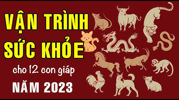 Vận trình Sức khỏe của 12 con giáp trong năm Quý Mão 2023 diễn biến ra sao?