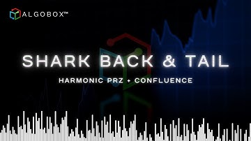 SHARK BACK & SHARK TAIL Strategy 🟦 NinjaTrader Futures | AlgoBox Training