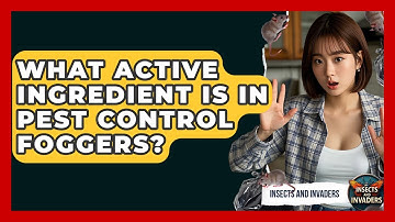What Active Ingredient Is In Pest Control Foggers? - Insects and Invaders