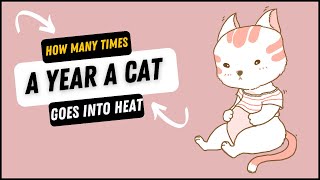 How Many Times A Year A Cat Goes Into Heat?