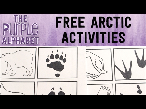 FREE Arctic Printable ACTIVITIES - YouTube