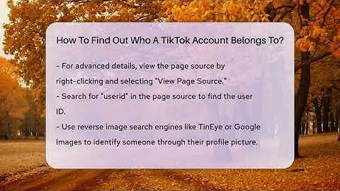 How To Find Out Who A TikTok Account Belongs To? - Everyday-Networking