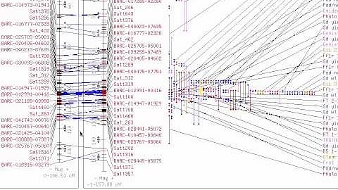 How to zoom into the genetic map at SoyBase