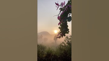 First vlog….😜 #vlog #trending #vlogger #vlogging #vlogvideo