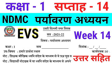 NDMC Class 1 EVS Week 14 Worksheet 14 (1/9/21) पर्यावरण अध्ययन सप्ताह 14 Class 1st week 14 solution