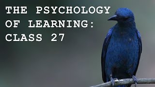 The Psychology of Learning – Ep. 27 | Ethics, Extinction, and the Final Lesson of White Dog (1982)
