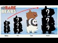 We bare bears growing up compilation  cartoon wow