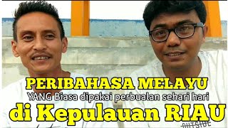 Download Lagu PERIBAHASA MELAYU DI PAKAI HARI HARI | MELAYU KEPULAUAN RIAU MP3