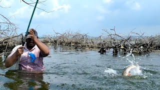 Rohu fishing techniques|| single hook fishing in river|| big fish catching unique fishing