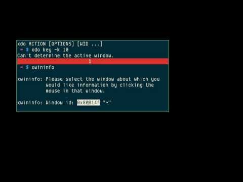 xdo, performing actions on windows