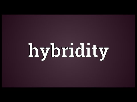 Header of hybridity