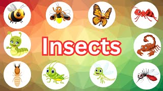 Learn Insects | Insects | Quiz | Kids Learning | guess the Insects | Butterfly | Bee | Mosquito |