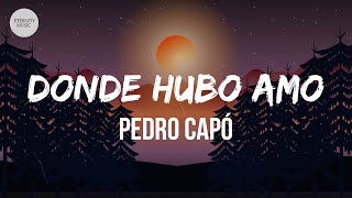 Pedro Capó - Donde Hubo Amor (Letra/Lyrics) Resimi