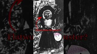 So What Exactly Is The Flatwoods Monster?