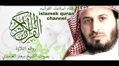 سورة القمر للقاريْ الشيخ سعد الغامدي جودة عالية.