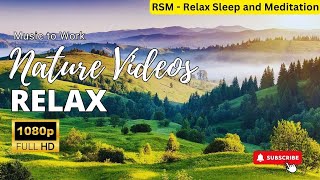 Nature Relaxation Film | Relaxing Music | Nature Bird Sounds, Study Music