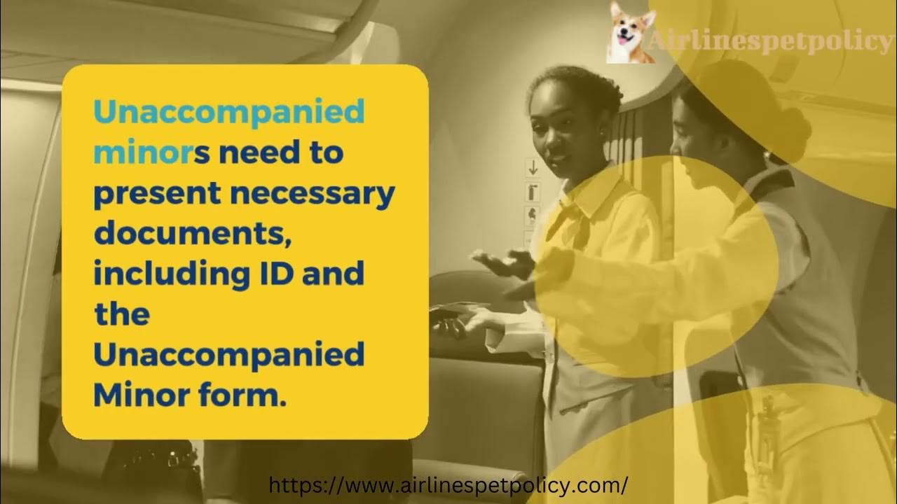 Southwest Airlines Minor Policy YouTube